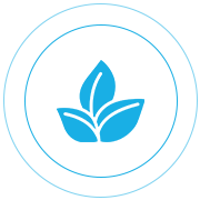 Eco-Friendly Materials & Production Processes