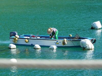 professional outboard engines and marine spare parts manufacturer-17.jpg