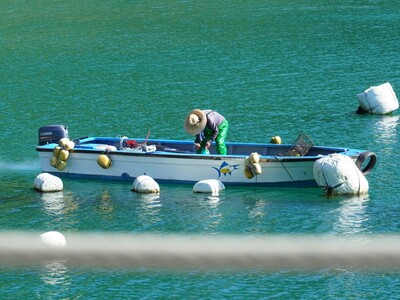 professional outboard engines and marine spare parts manufacturer-17.jpg